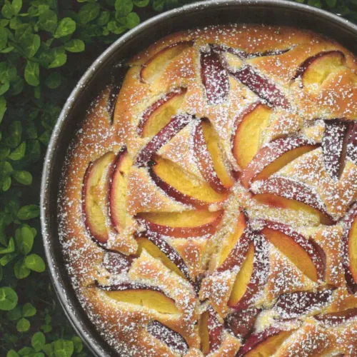 Nektarinenkuchen