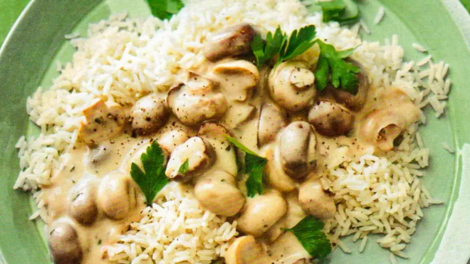Champignons in Weißweinsauce mit Reis
